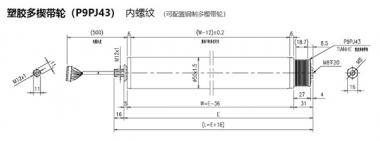 電動輥筒 塑膠多楔帶輪（P9PJ43） 內螺紋 （可配置鋼制多楔帶輪）